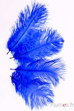 Plume d'autruche 15-20 cm Bleu Pétrole x1 - Perles & Co