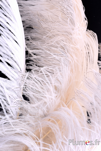 YUOYU 2 mètres de Costume de Plumes duveteuses Naturelles fête décorative Plumes  Blanches châle pour l'artisanat écharpe de Mariage Panache : :  Cuisine et Maison